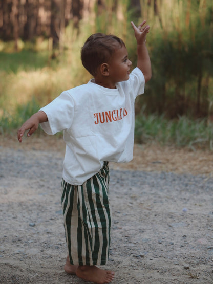 ENDEAVOUR STRIPE PANTS