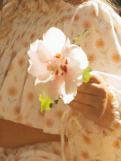 PAPER DAISY LINEN SET